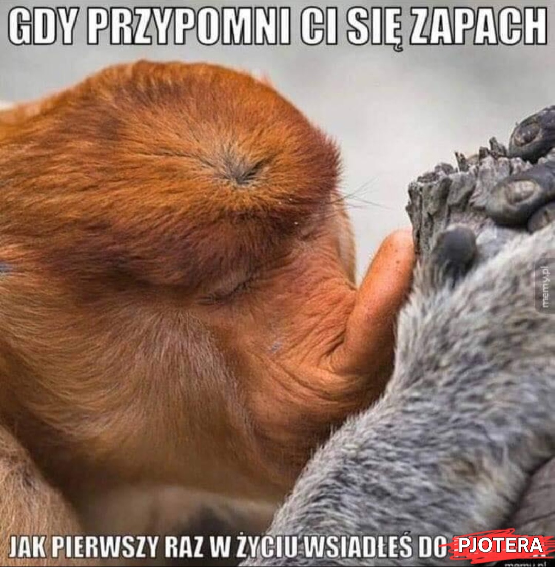 Dzieło sztuki #6958