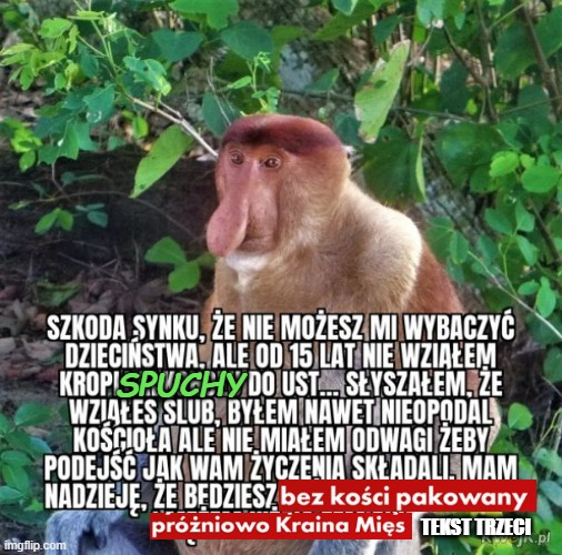 Dzieło sztuki #6994
