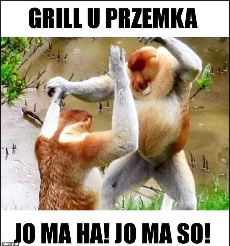 Dzieło sztuki #7253