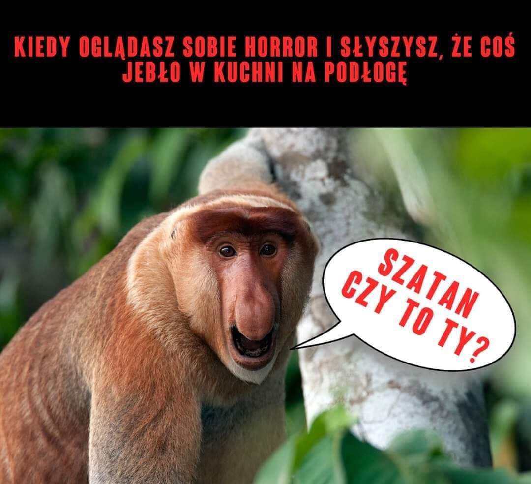 Dzieło sztuki #7507