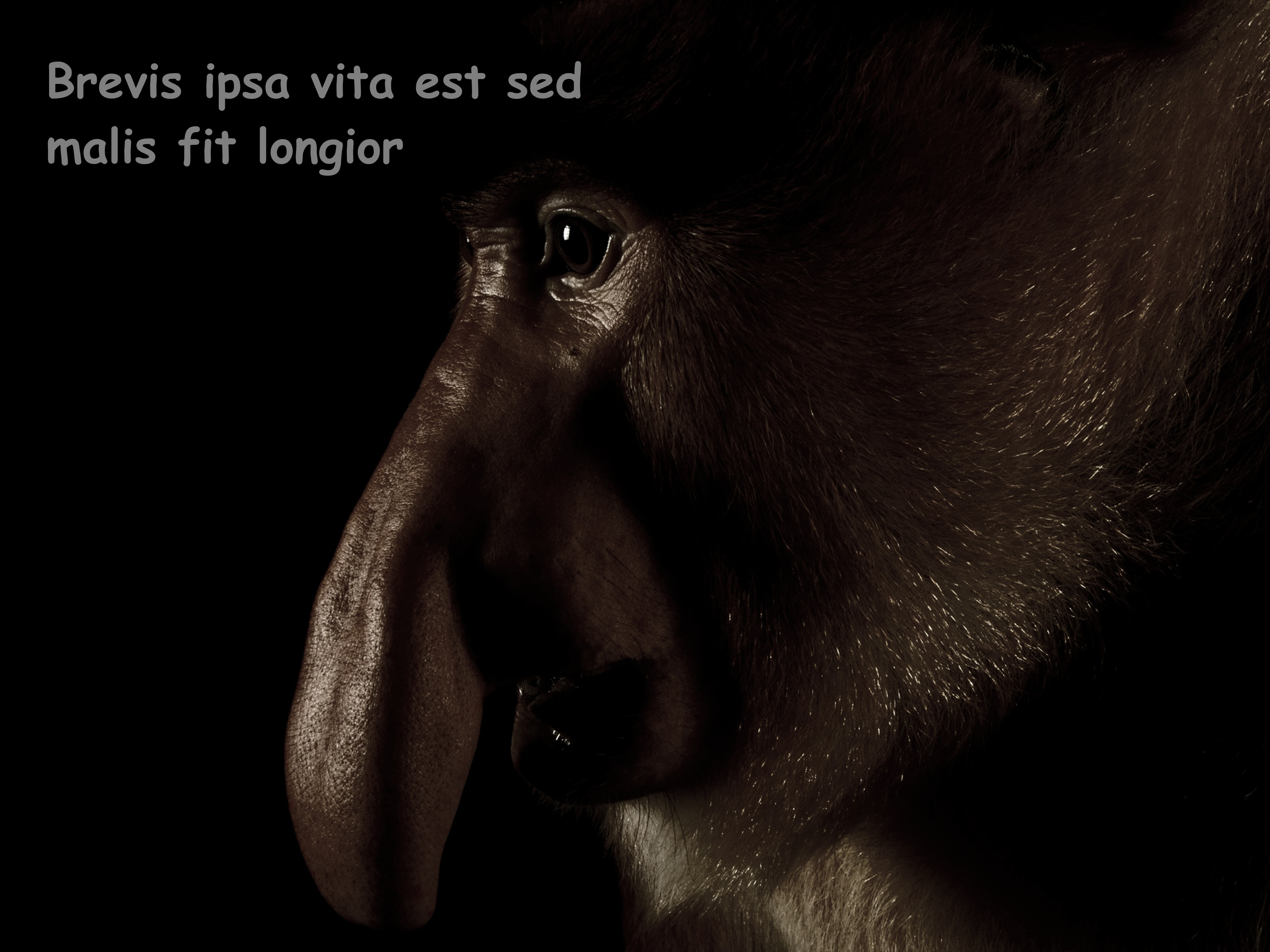 Dzieło sztuki #7835