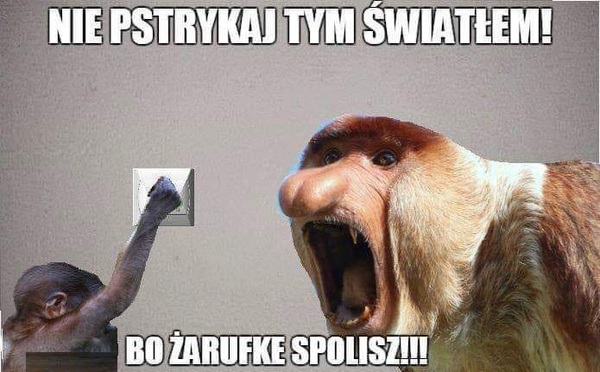 Dzieło sztuki #8002
