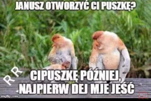 Dzieło sztuki #8014