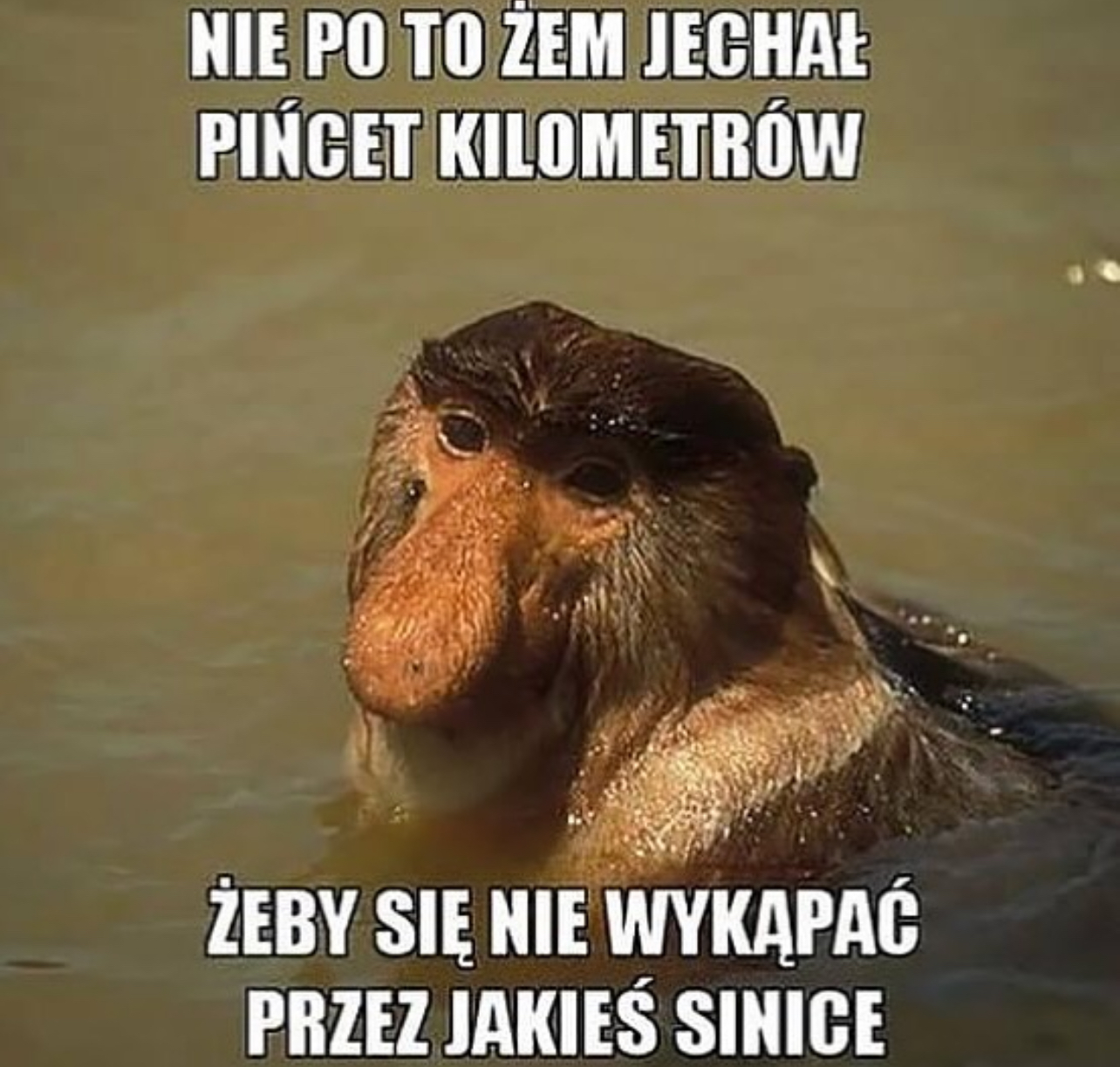 Dzieło sztuki #8052