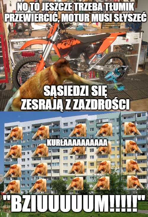 Dzieło sztuki #8319