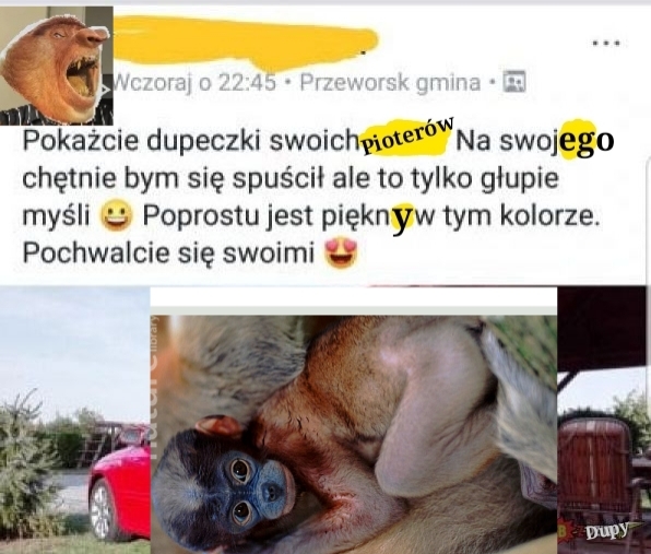Dzieło sztuki #8329