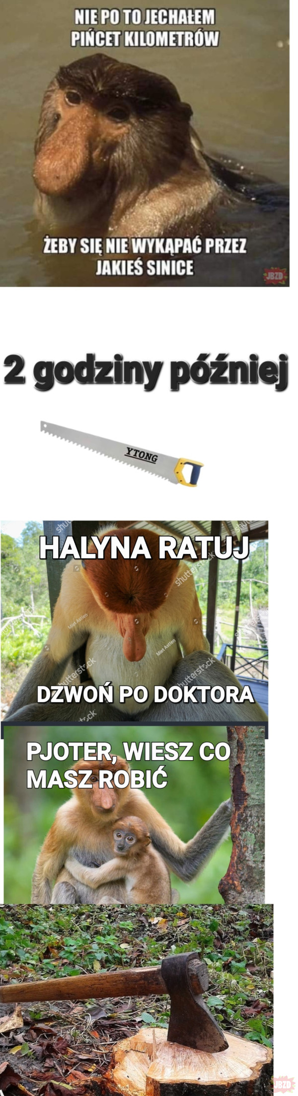 Dzieło sztuki #8436