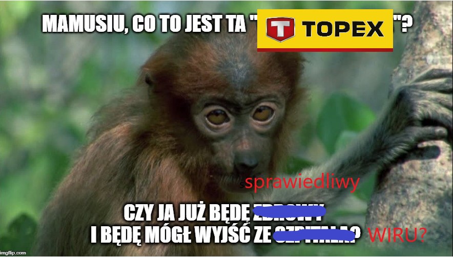 Dzieło sztuki #8717