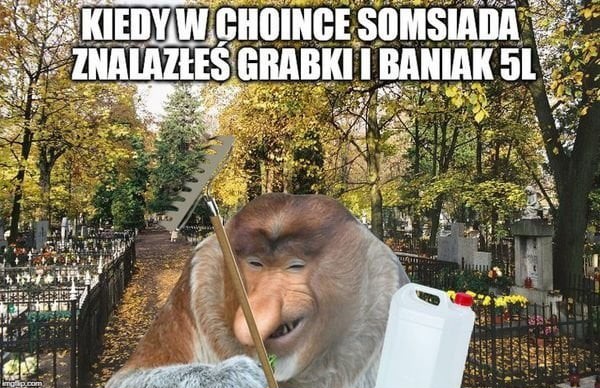 Dzieło sztuki #9182
