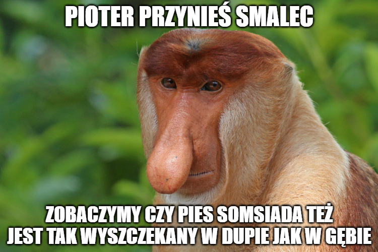 Dzieło sztuki #9255