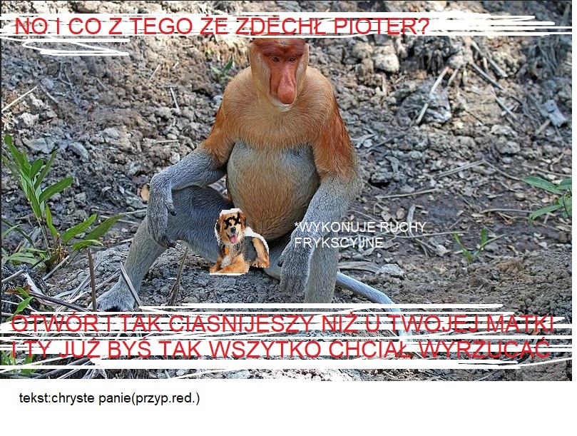 Dzieło sztuki #9292