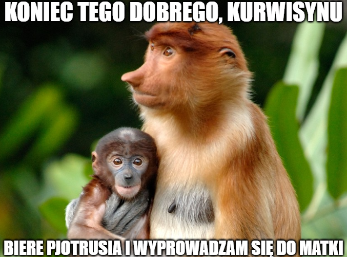 Dzieło sztuki #9357