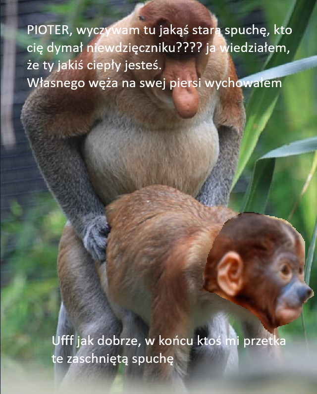 Dzieło sztuki #9426