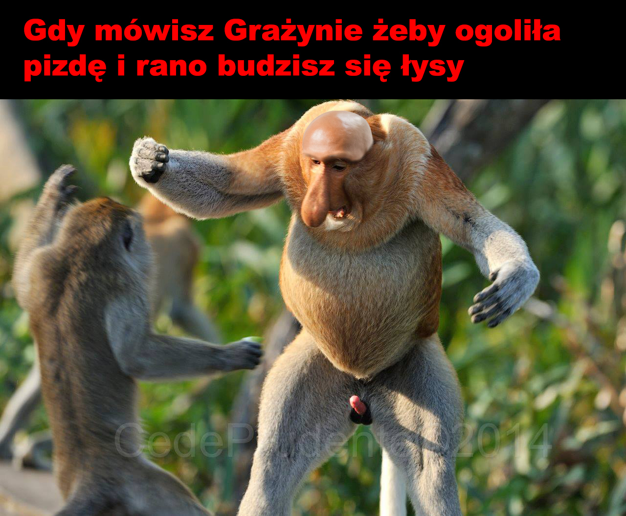Dzieło sztuki #9427