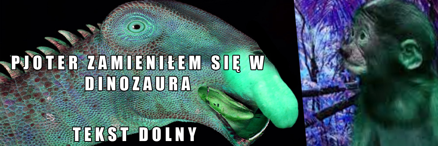Dzieło sztuki #9527