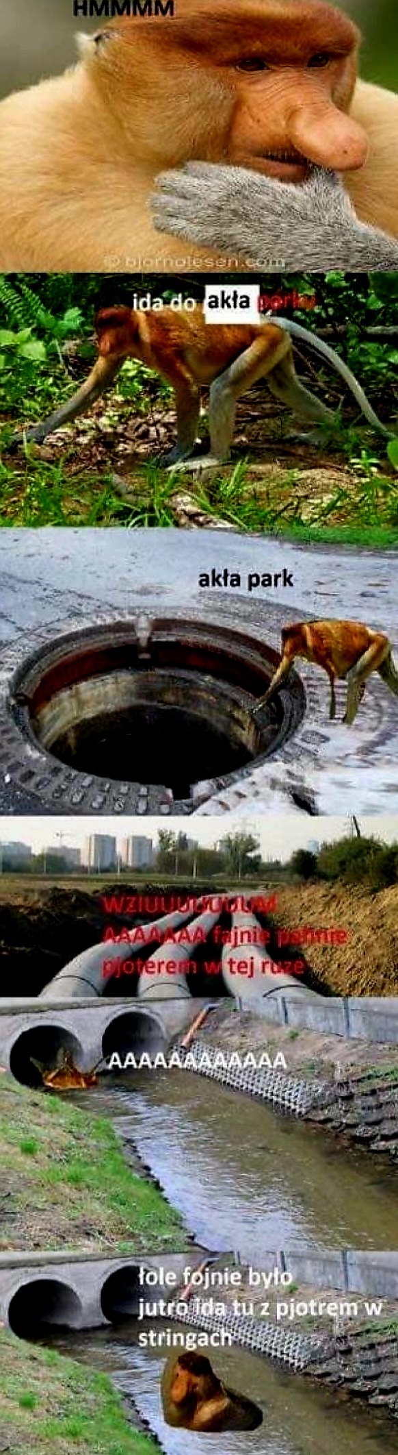Dzieło sztuki #9949