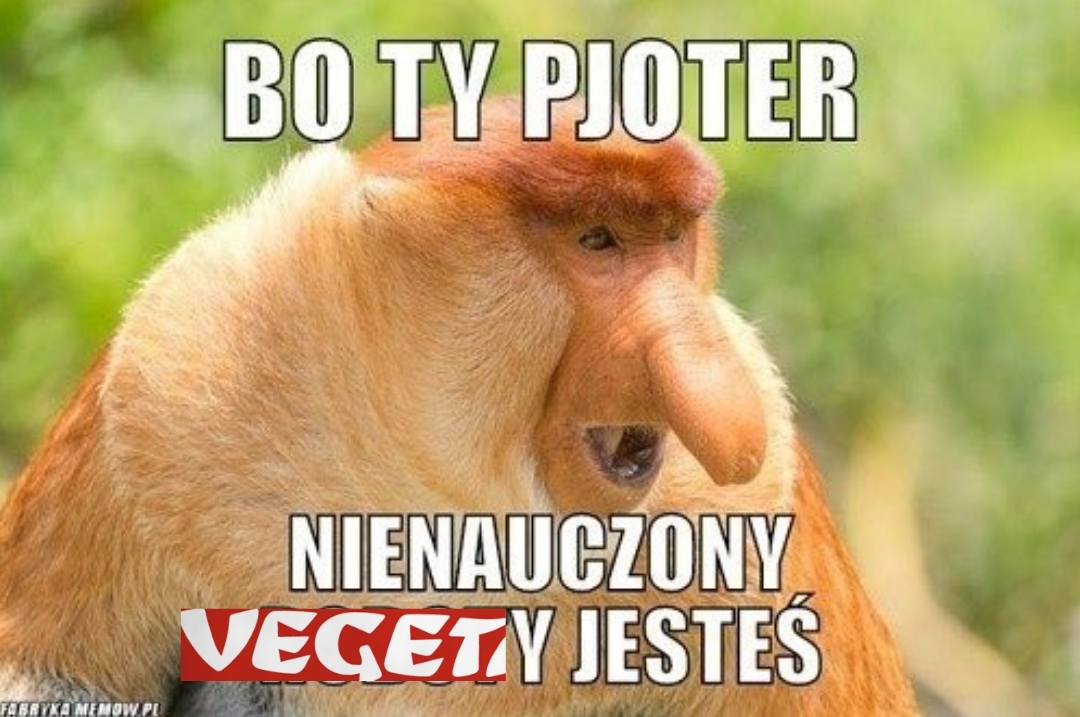 Dzieło sztuki #9978