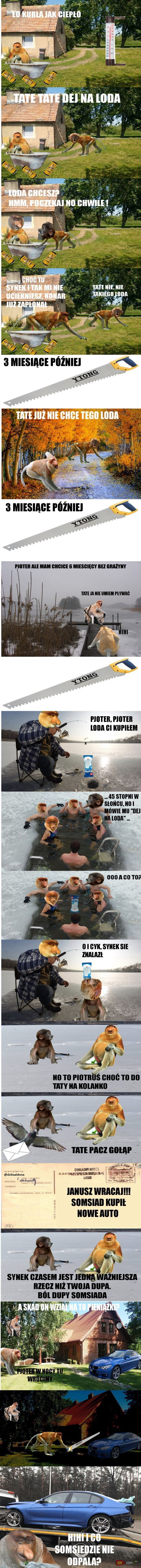 Dzieło sztuki #9997