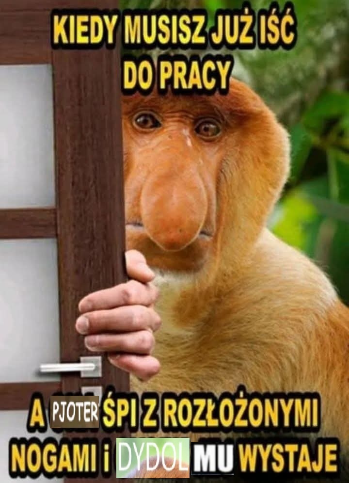 Dzieło sztuki #10480