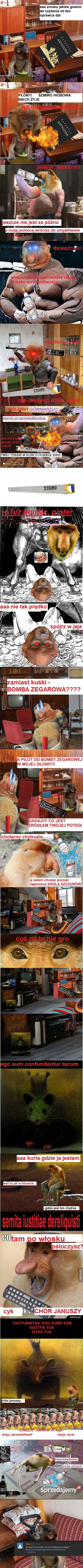 Dzieło sztuki #10483