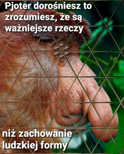 Dzieło sztuki #10489