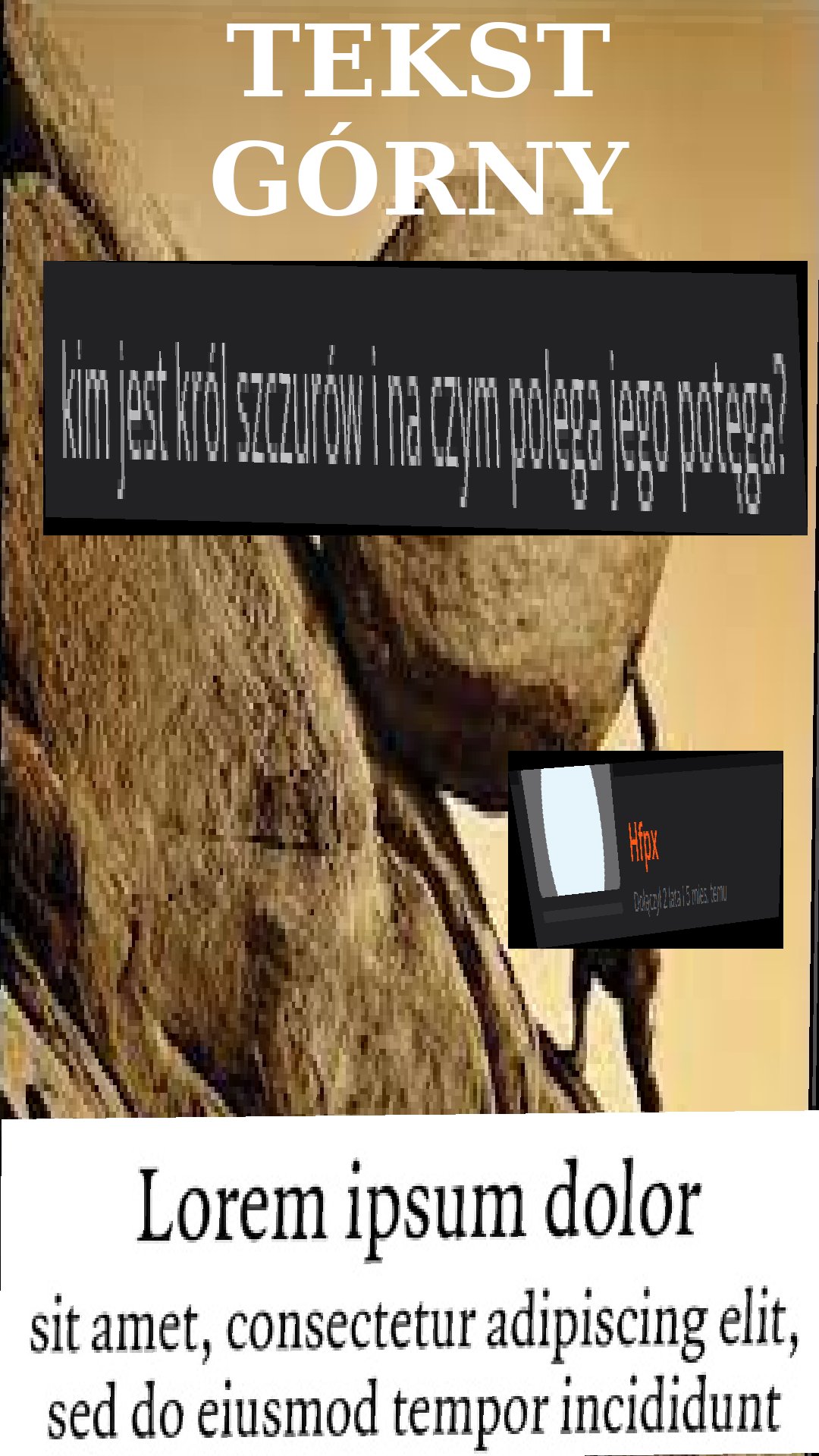 Dzieło sztuki #10490