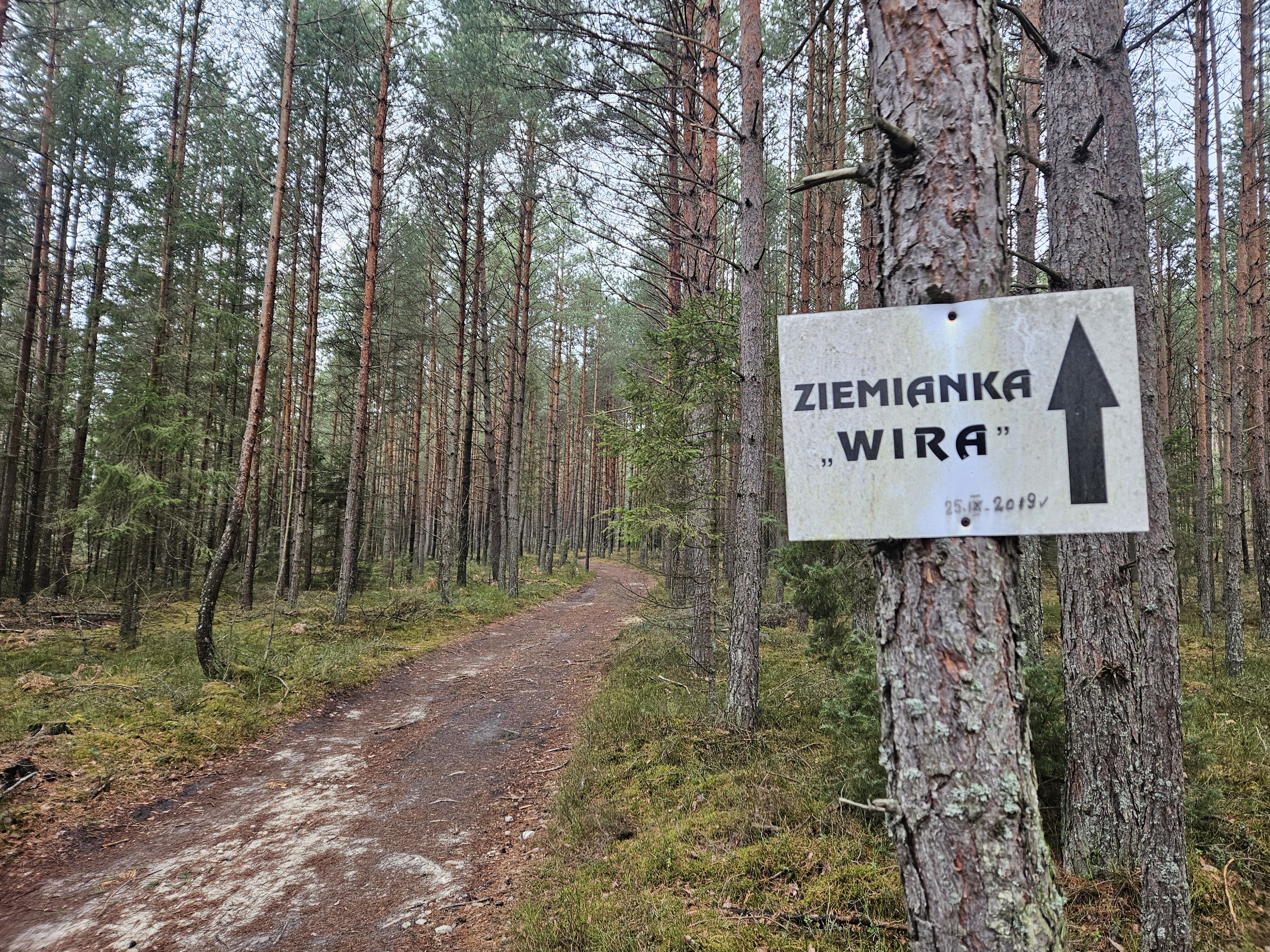 Dzieło sztuki #10514