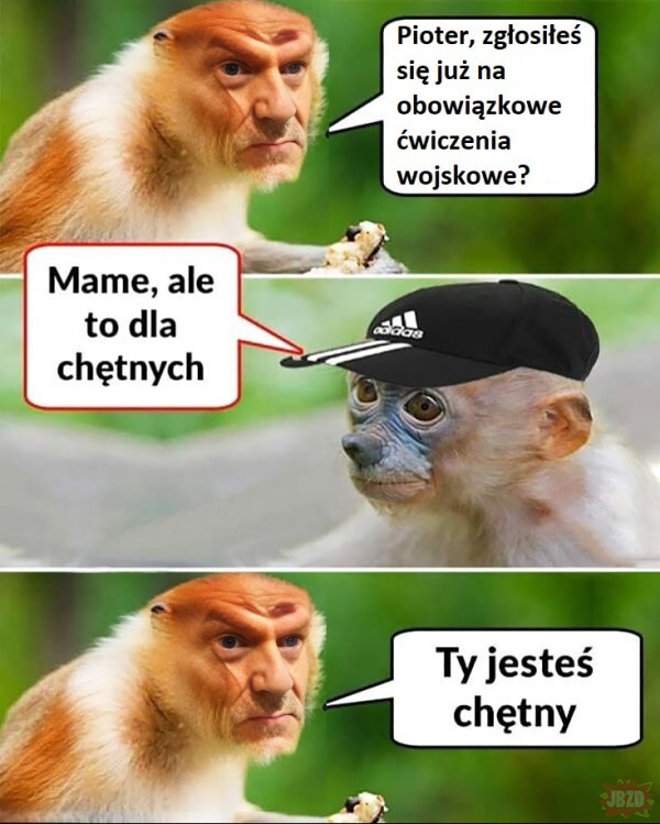 Dzieło sztuki #10557