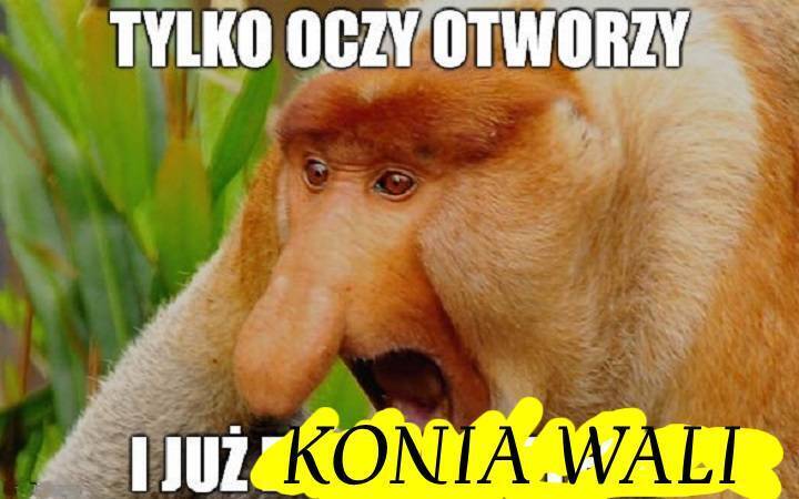 Dzieło sztuki #10562