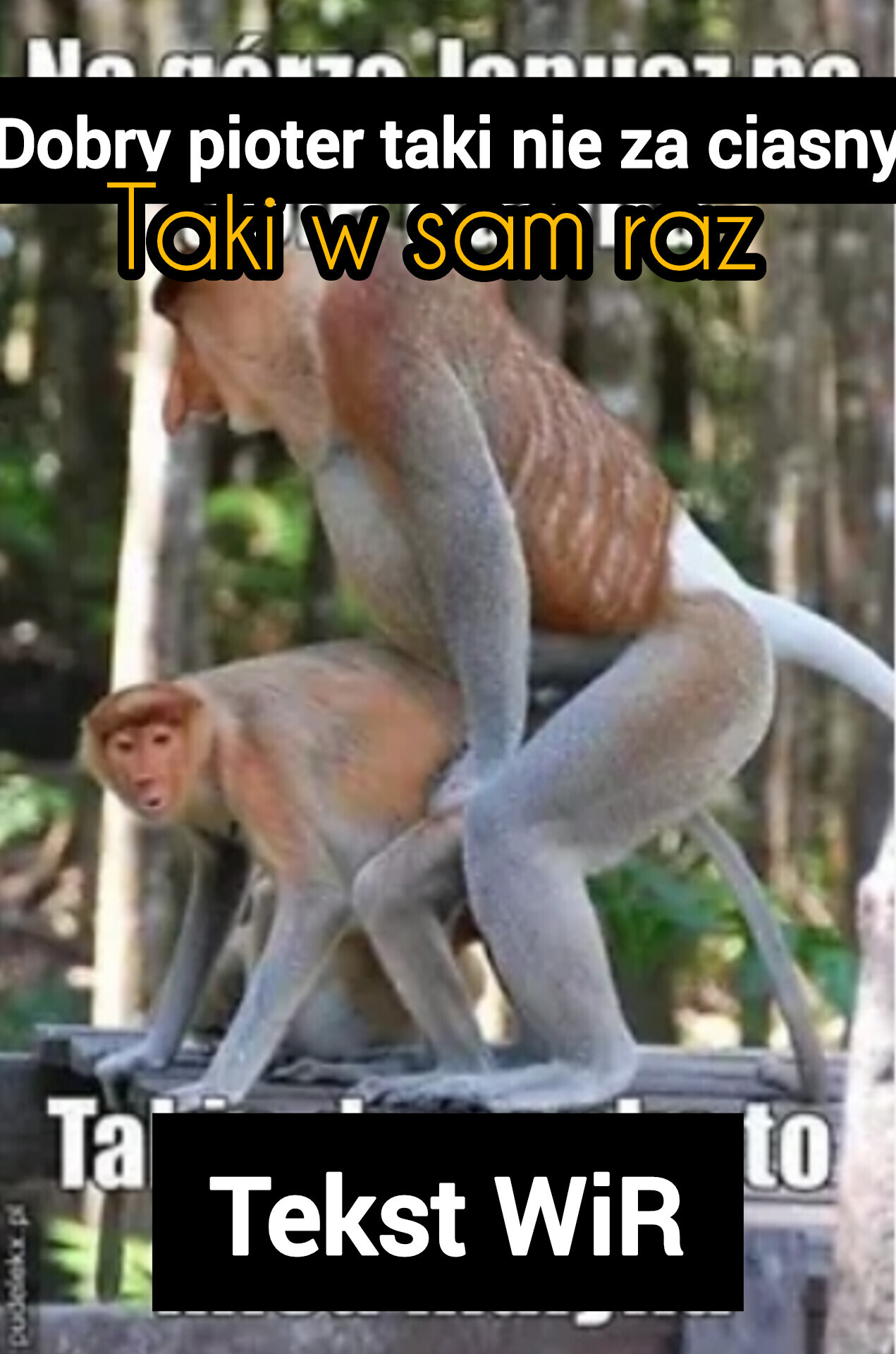 Dzieło sztuki #10571