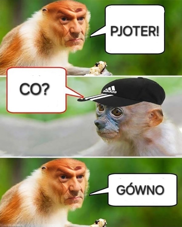 Dzieło sztuki #10577