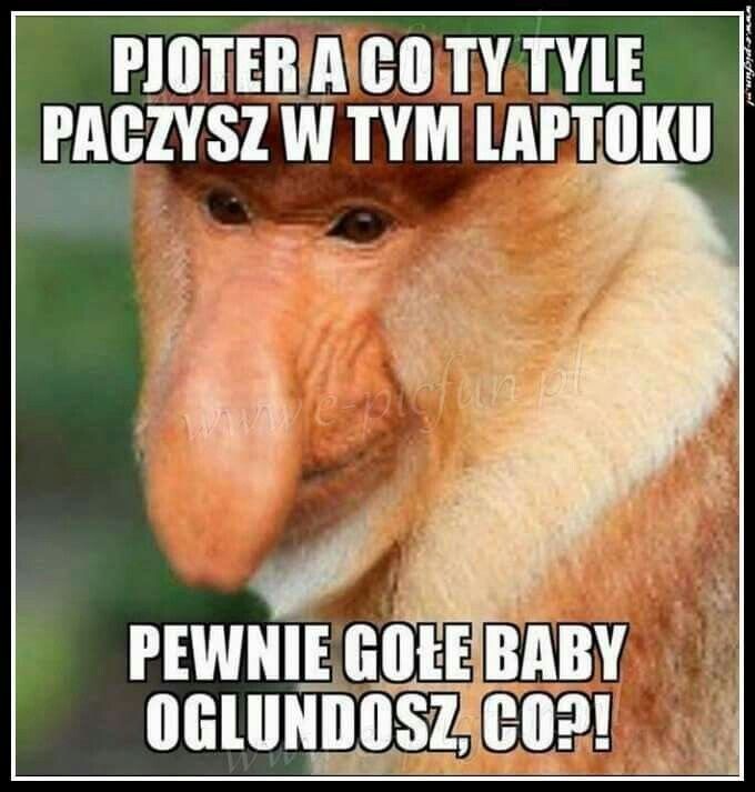 Dzieło sztuki #10582