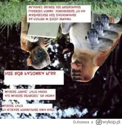 Dzieło sztuki #10584