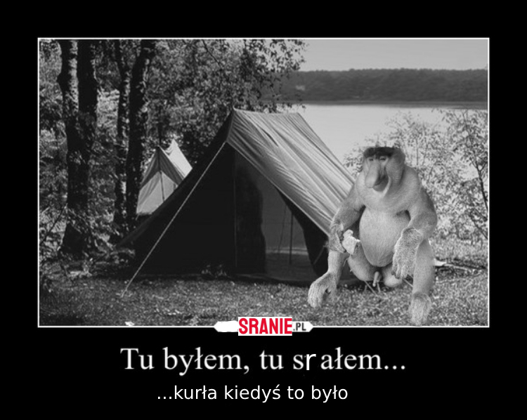 Dzieło sztuki #10586