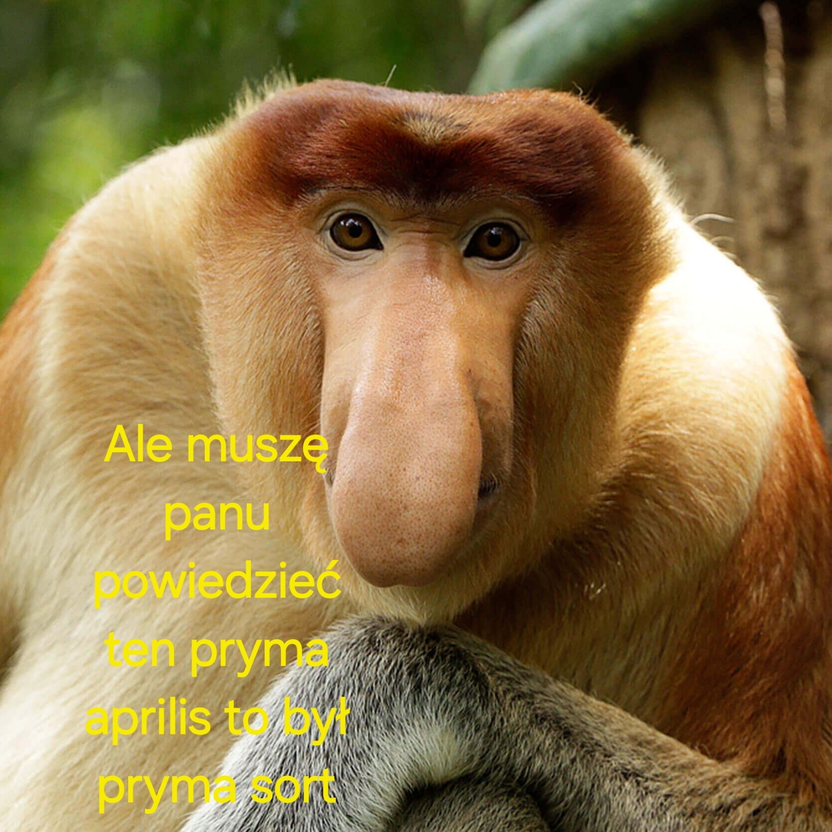 Dzieło sztuki #10616