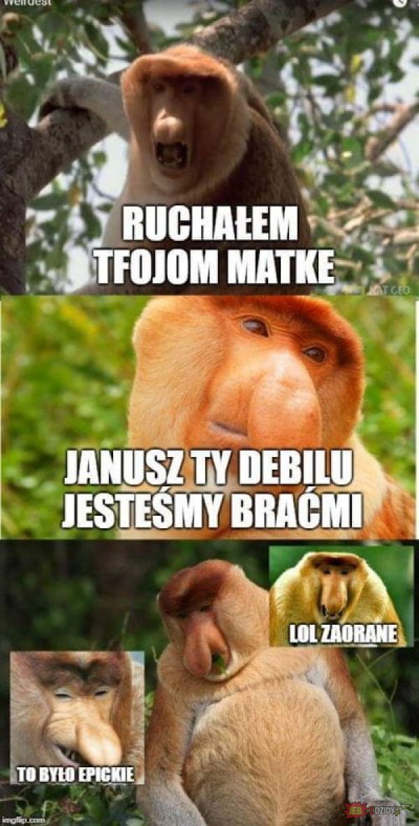Dzieło sztuki #10624