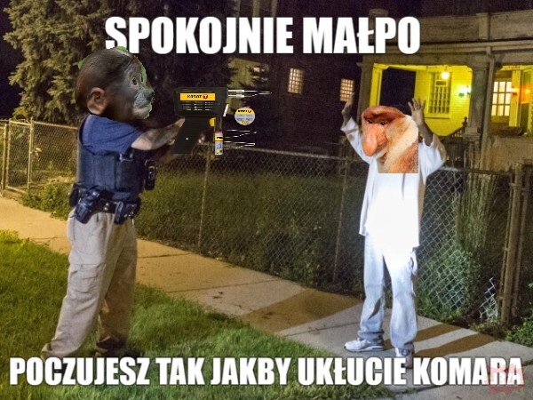 Dzieło sztuki #10627
