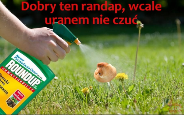 Dzieło sztuki #10634