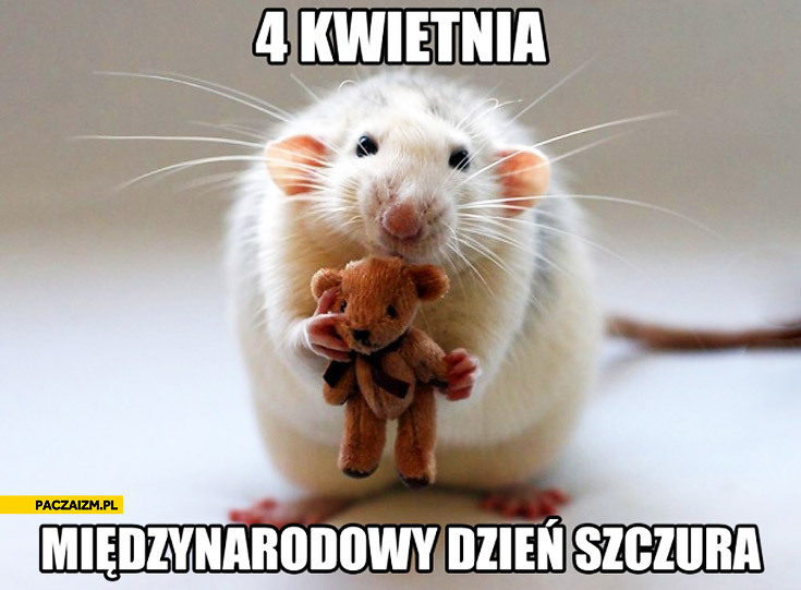 Dzieło sztuki #10645