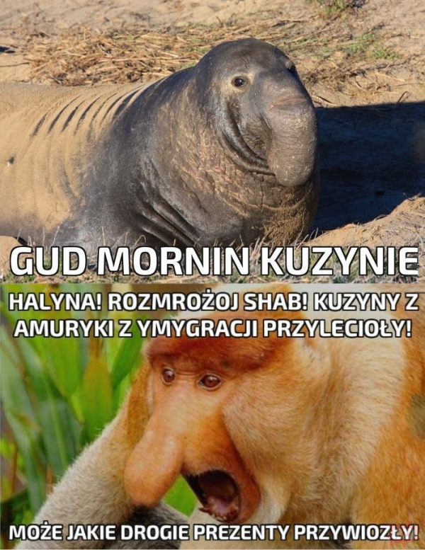 Dzieło sztuki #10651