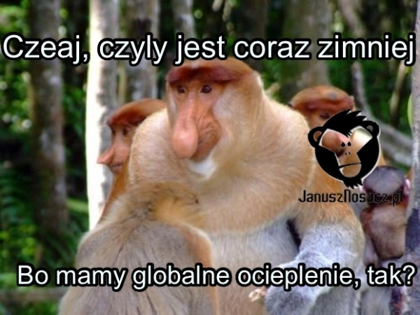 Dzieło sztuki #10659