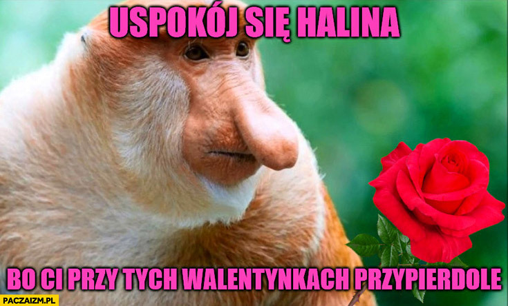 Dzieło sztuki #10662