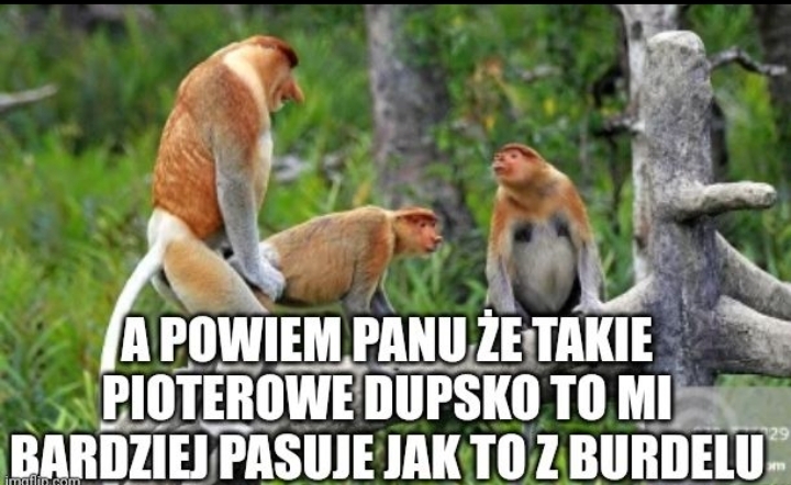 Dzieło sztuki #10675