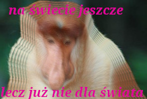 Dzieło sztuki #10701