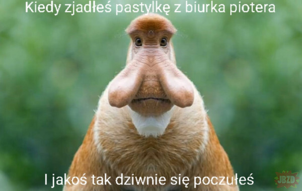 Dzieło sztuki #10705
