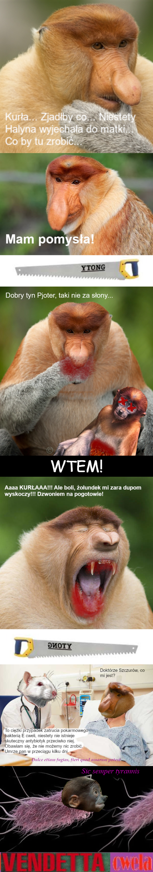 Dzieło sztuki #10733