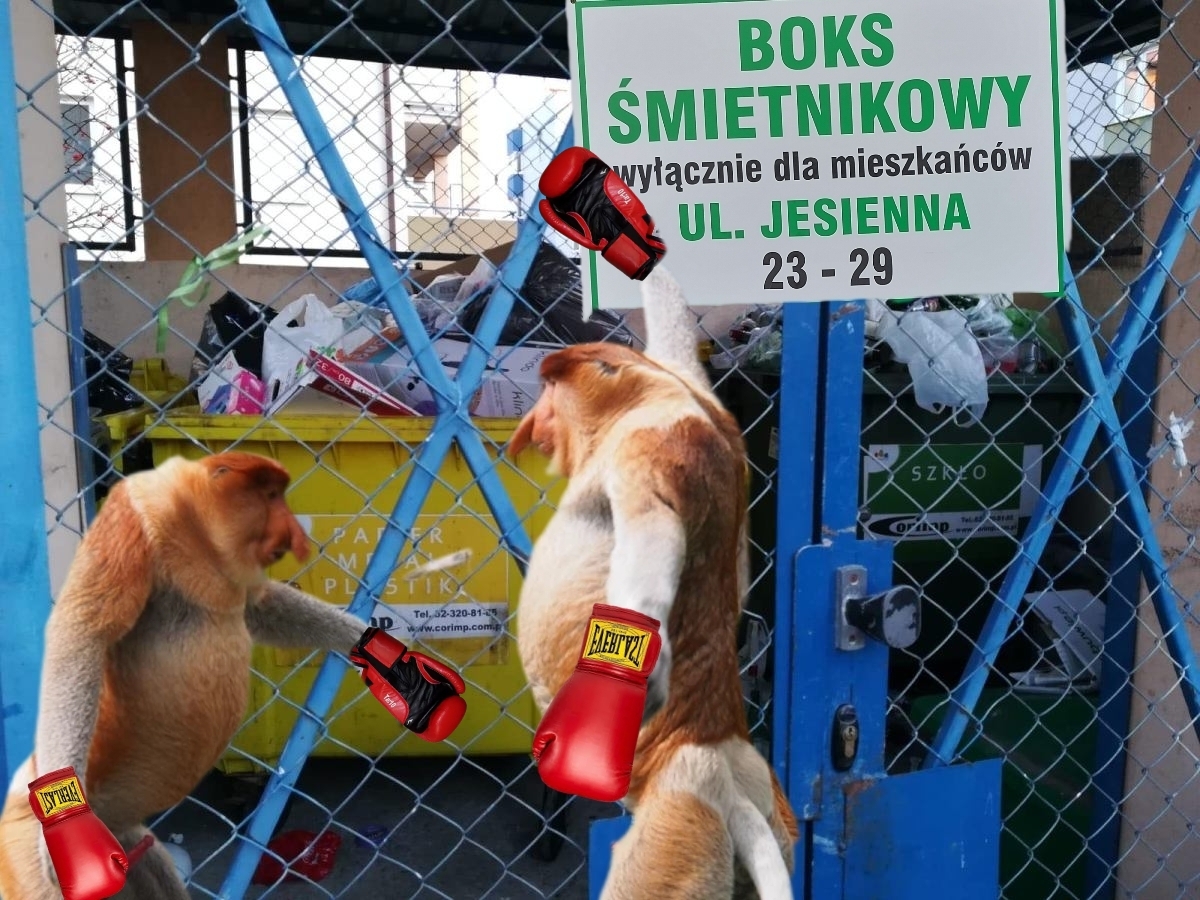 Dzieło sztuki #10784