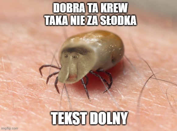 Dzieło sztuki #10797