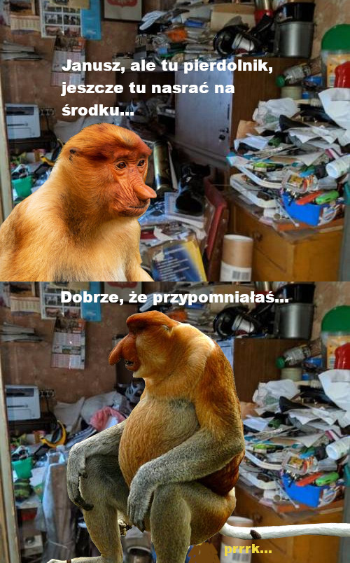 Dzieło sztuki #10811