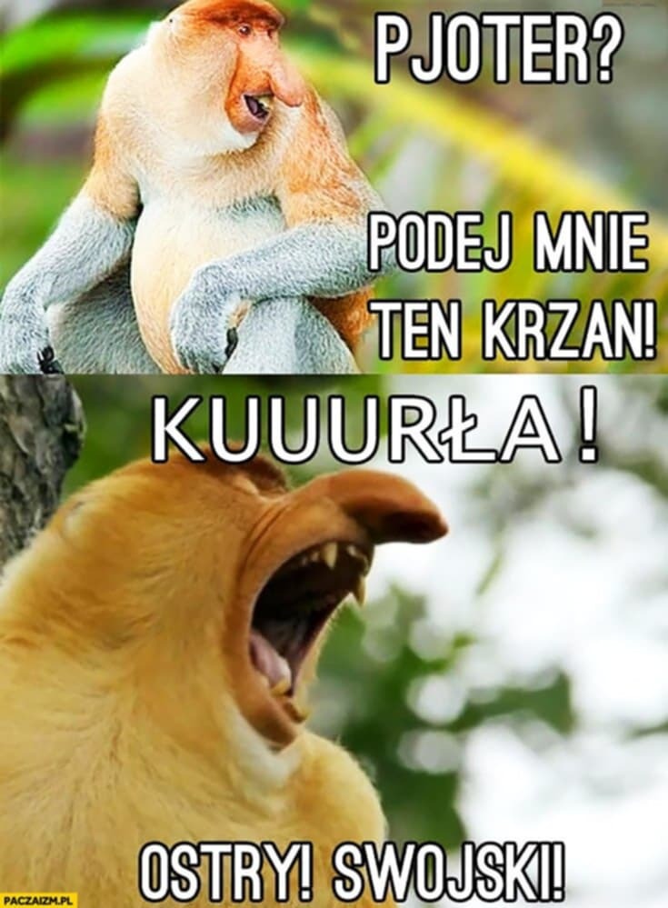 Dzieło sztuki #10812